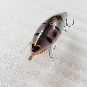 Amazon.co.jp: アクアザウルス クランクカウルス 7.5cm AQUA-SAURUS